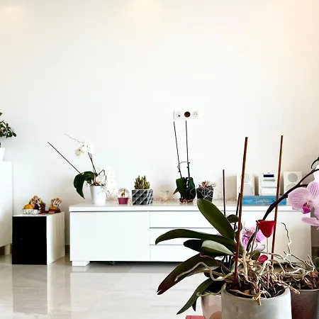 Appt 2 Bd-4 Pers-pool Wifi Tennis Park-sea View *