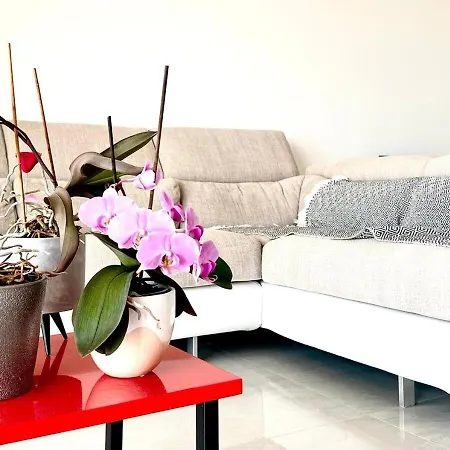 Appt 2 Bd-4 Pers-pool Wifi Tennis Park-sea View *